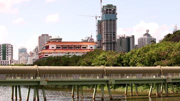 GRWTH社區, 親子, 親子單車, 上水邊境單車遊, 全港親子單車地圖, 大水管, 羅太豆腐花, 德月樓警局, 河上鄉,