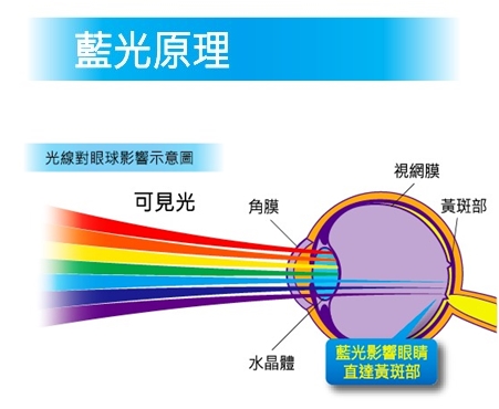 又要Zoom住學！長期專注電子屏幕 專家：小心患上「電腦視覺綜合症」