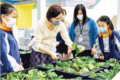 升小攻略：直資私立小一報名 多恢復實體見面 備戰面試 名校校長有貼士