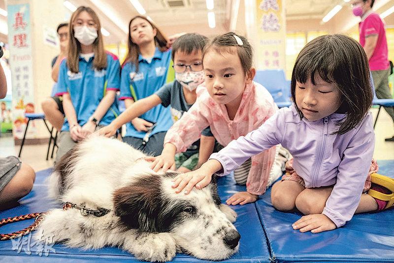 伴讀犬計劃：狗義工單眼「淡定哥」 啟發珍愛生命