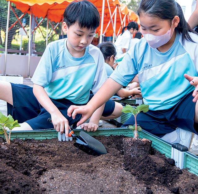 種植樂：讀繪本做蛋糕  支持本地農業  落手種士多啤梨  領悟生命獨特