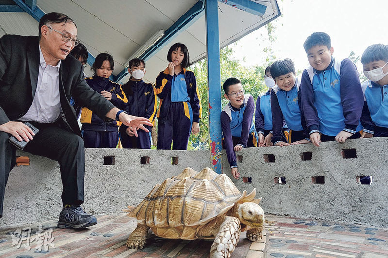 特色校園：主張生活體驗 推動全港環保教育  「無牆」小學 大膽實踐回饋社區