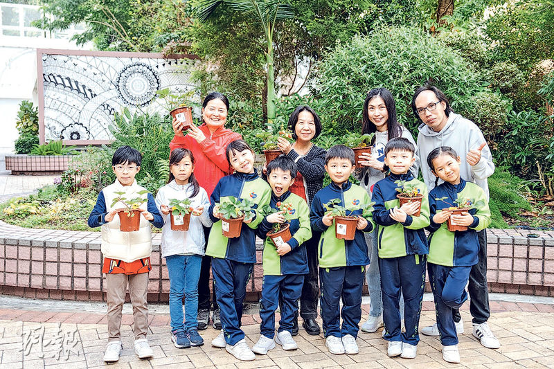 種植樂：讀繪本做蛋糕  支持本地農業  落手種士多啤梨  領悟生命獨特