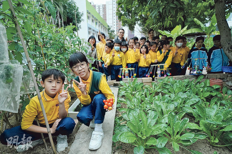 正向教育：學懂自我關懷  增抗逆力  校園森林浴 閉眼靜觀療癒身心