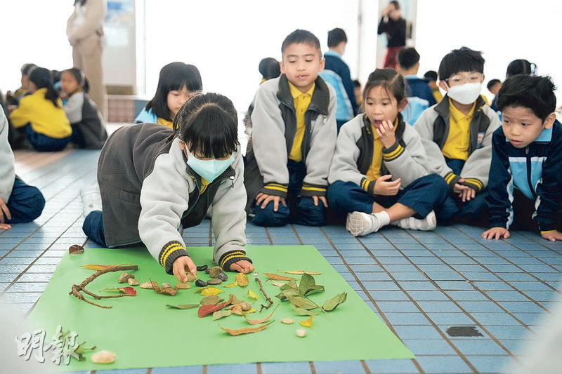 正向教育：學懂自我關懷  增抗逆力  校園森林浴 閉眼靜觀療癒身心